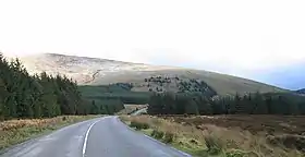 Photographie couleur du  Tonelagee dans le prolongement d'une route bitumée