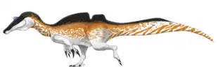 Dessin reconstituant Ichthyovenator, basées sur les spinosauridés apparentés.