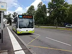 Bus du réseau.