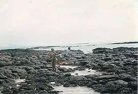 Image illustrative de l’article Île d'Ambre