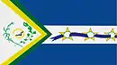 Drapeau de São João d'Aliança