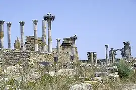 Cigognes nichant sur des vestiges archéologiques à Volubilis