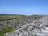 Chevaux de frise autour du fort.