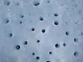 Trous dans la glace dus au faible albédo des petites poussières apportées par les vents. Si la surface de la glace parait lisse de loin, en été elle a en fait cet aspect sur presque toute sa surface. Certains trous font plusieurs dizaines de centimètres de profondeur à force de fonte mais possèdent toujours un diamètre équivalent (un à deux centimètres).