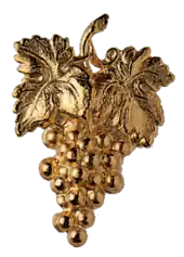 Grappe de raisin dorée.