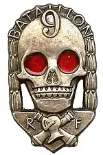 Image illustrative de l’article 9e bataillon de chars de combat