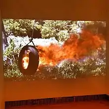 Photographie de Berni Searle montrant un pneu enflammé suspendu à un arbre tel une balançoire
