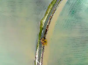 Champs inondés en Bavière, vers Itzgrund. Janvier 2022.