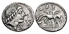 Denarius frappé vers 80 av. J.-C. par un membre de la gens Postumia. À l'avers, une tête laurée qui pourrait être celle d'Honos. Au revers, les Dioscures se tiennent près de leurs chevaux qui s'abreuvent dans la source du Forum.