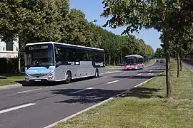 Iveco Crossway Line sur la ligne 69 près de la gare du Val d'Europe en 2020.