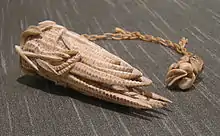 Main du Bouddha en ivoire, collections du Musée.