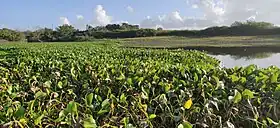 Image illustrative de l’article Lac de Gaschet