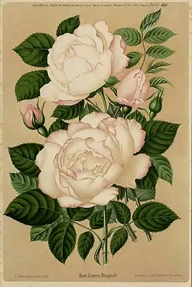 Image illustrative de l’article James Bougault