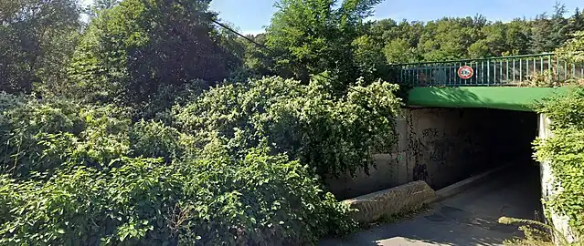 Le Janon passe sous la N88 aux Sagnes,après avoir reçu le Ricolin (code V3100580)