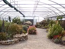 Le jardin botanique.