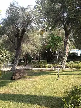 Image illustrative de l’article Jardins Lowe