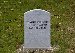 Je vous avais dit que je n'allais pas très bien, œuvre de Gianni Motti