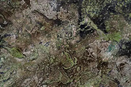 Peinture, détail, collection personnelle de l'artiste.