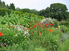 Cottage garden anglais de Gertrude Jekyll.