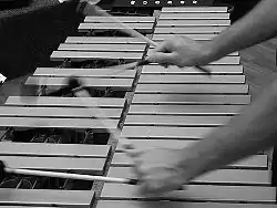 Image illustrative de l’article Mallet Quartet