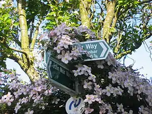 Dans l'East Lothian, panneaux directionnels pour la John Muir Way (en) et marquage fixé pour le sentier de la mer du Nord