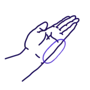 Shutō, tranchant extérieur de la main (côté auriculaire).