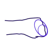 Uraken, revers du poing.