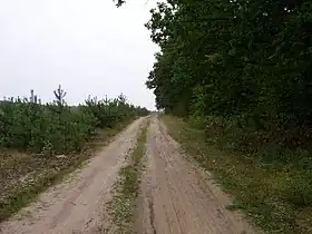 Kępiaste (Pułtusk)