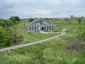 Image illustrative de l’article Bilzingsleben (site paléolithique)