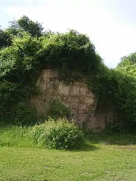 Image illustrative de l’article Formation de Maastricht