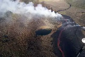 Image illustrative de l'article Nāpau