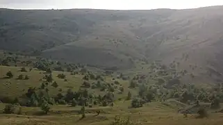 Réserve botanique classée