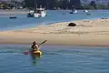 Kayakistes et un lion de mer de Nouvelle-Zélande se reposant dans le mouillage de Karitane Harbour