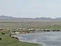 Troupeau de chèvres en Mongolie.
