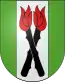 Blason de Kienersrüti