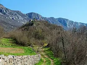 Kožljak