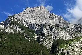 Vue de la face sud du Kogel, depuis la vallée de Kamniška Bistrica.