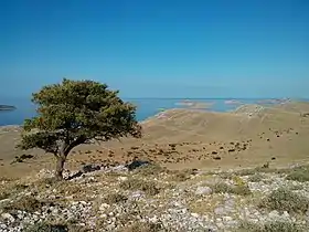 Image illustrative de l’article Kornat