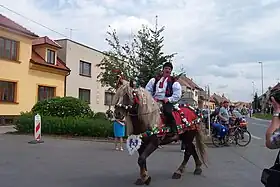 Noriker silésien à Kunovice