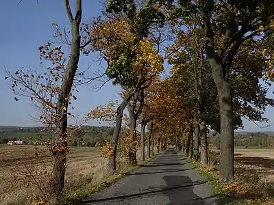 Route au sud-est du village.