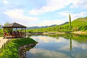 Košutovo (Kosovska Mitrovica)