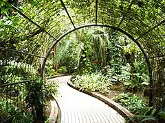 Intérieur des serres.