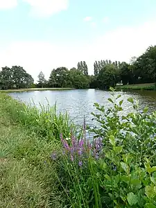 Vue d'ensemble de l'étang