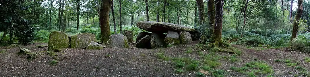 Vue panoramique de l'allée couverte de la « Loge aux Loups » (juillet 2014)