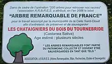Le panneau d'attribution du label d'arbre remarquable.