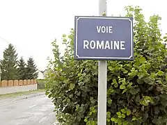 voie romaine à La Cheppe
