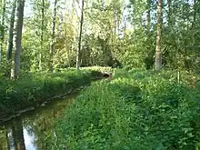 La Germaine à Sancourt en mai 2010