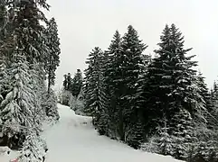 Lieu-dit "La Goutte" à la station de Gerardmer La Mauselaine.