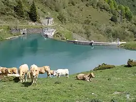 Barrage de Castillon (La Mongie)