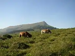 La Rhune dans les Pyrénées atlantiques.